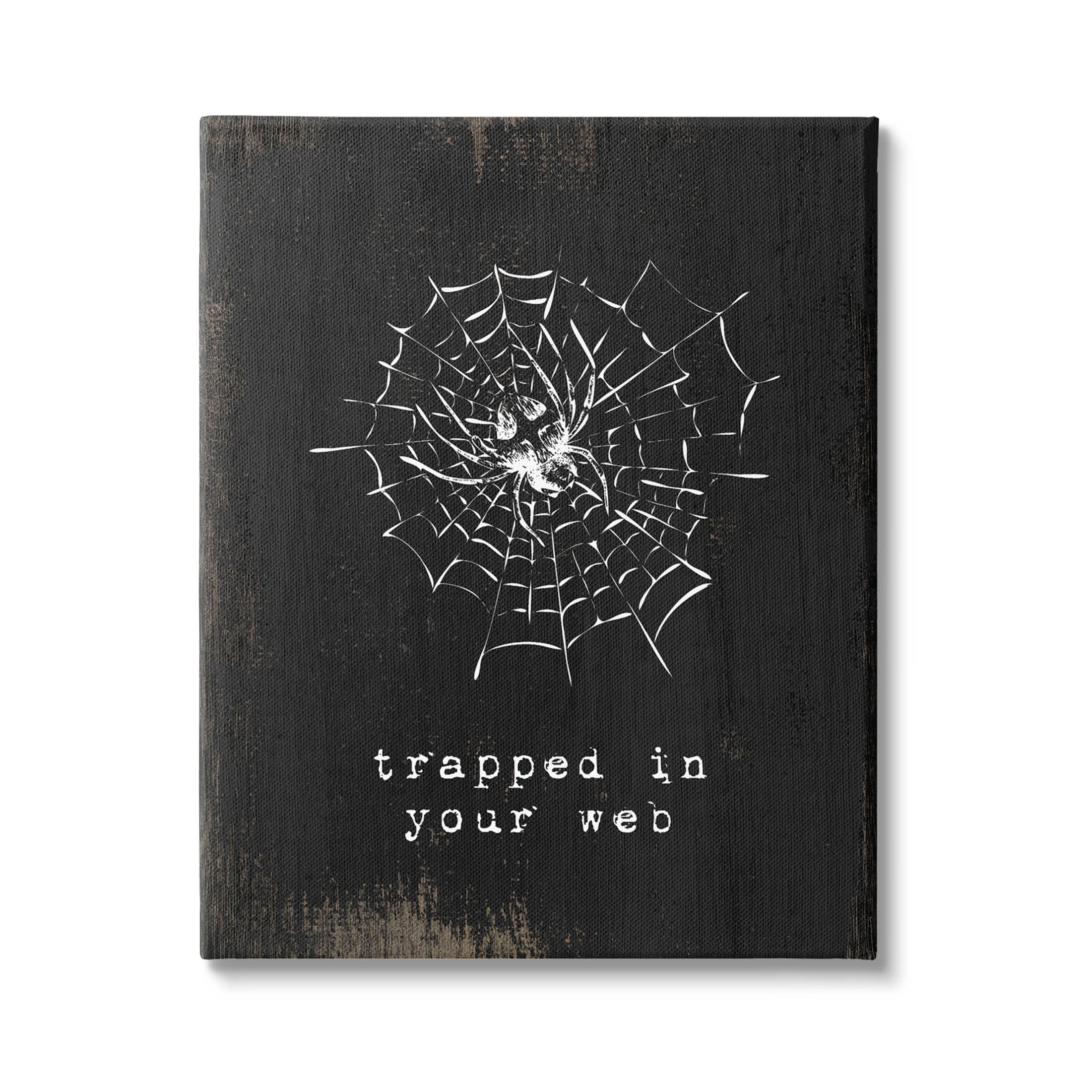 Stupell Industries Trapped In Your Web Spider Graphic Art Gallery Wrapped Canvas Print Wall Art, Design by Lil' Rue