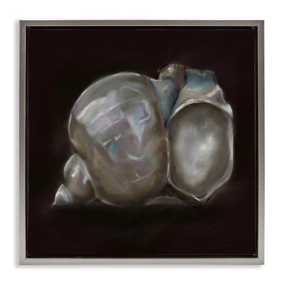 Treasure Of Sea Shell Gray Floating Frame Canvas Art, 18 x 18, Made In USA