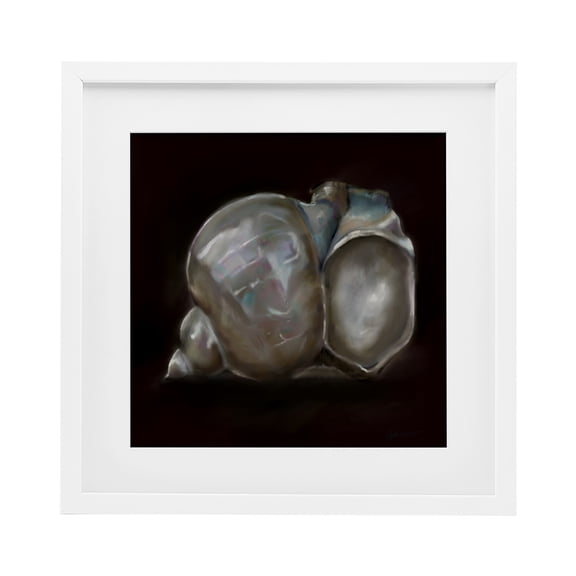 Treasure Of Sea Shell White Framed Print Under Glass, 16 x 16, Made In USA