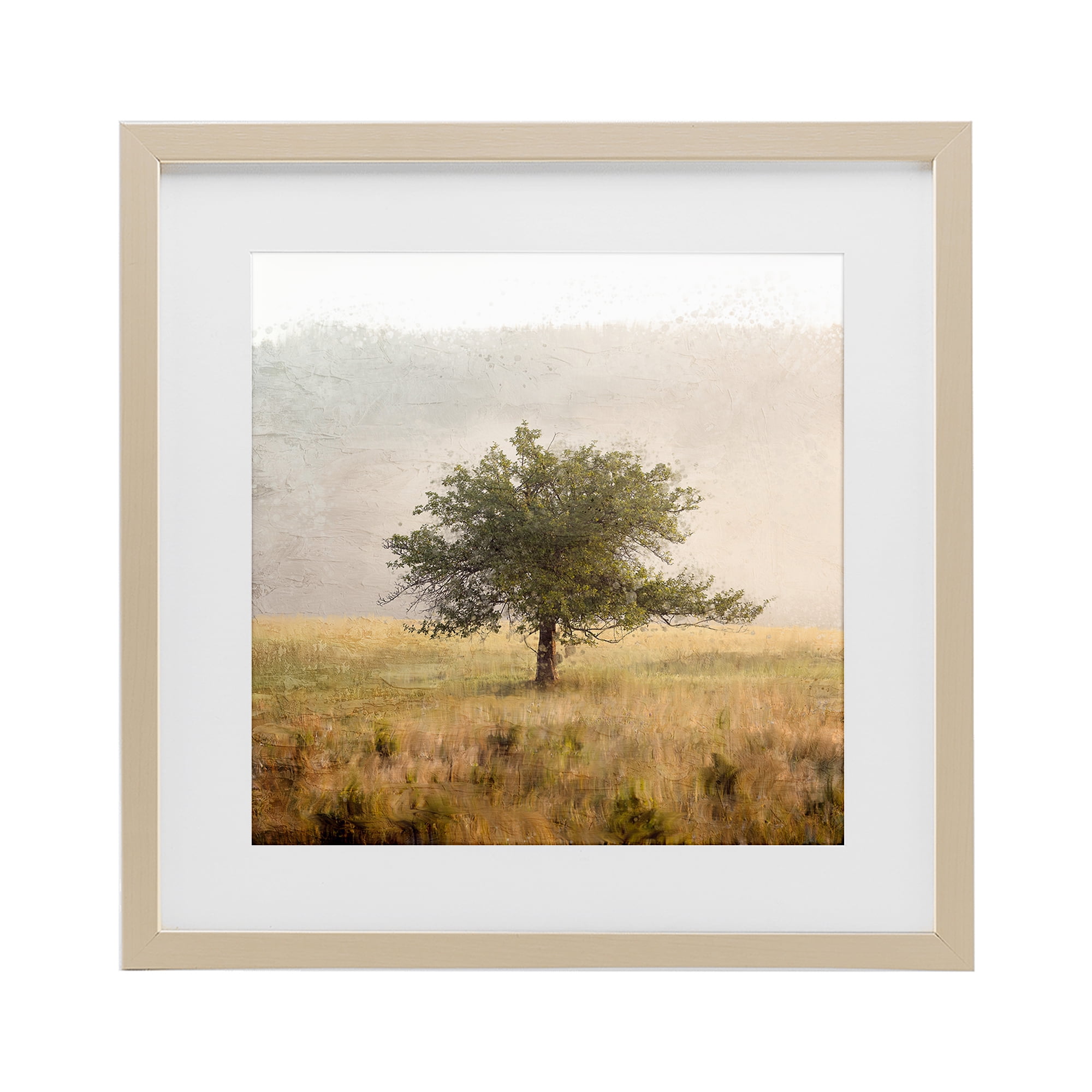 Stupell Industries Tree Alone in Golden Field Birch Framed Print Under Glass, design by Anne Bailey