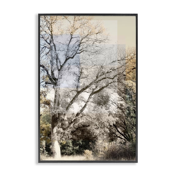 Stupell Industries Tree Collage Layers Black Framed Giclee Art, design by Gemma Bardot