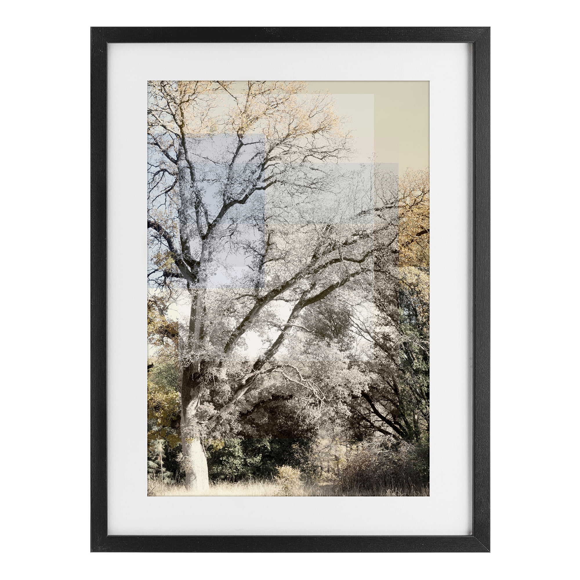 Stupell Industries Tree Collage Layers Black Framed Print Under Glass, design by Gemma Bardot