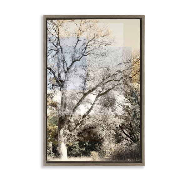 Stupell Industries Tree Collage Layers Brown Framed Floater Canvas Wall Art, design by Gemma Bardot