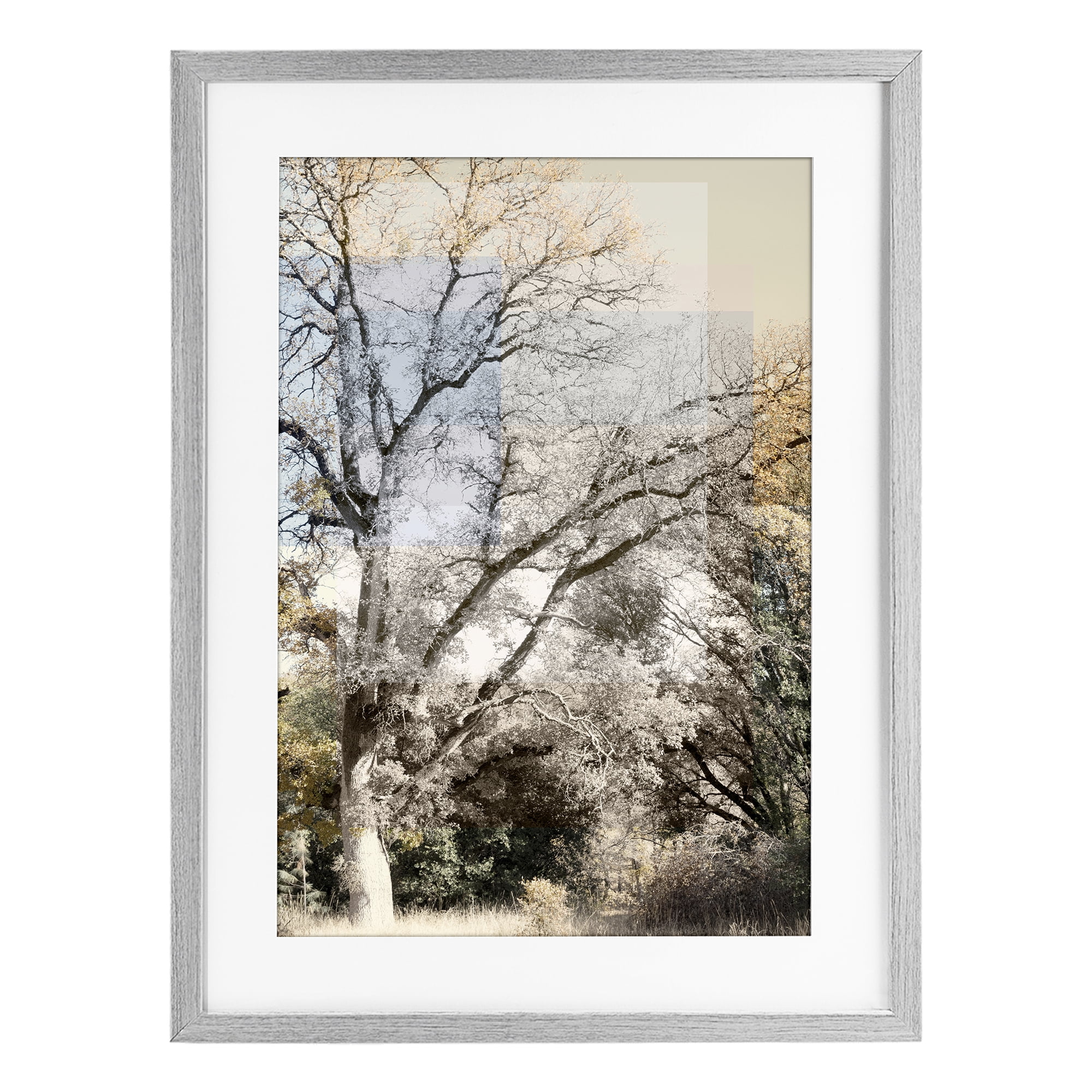 Stupell Industries Tree Collage Layers Gray Framed Print Under Glass, design by Gemma Bardot