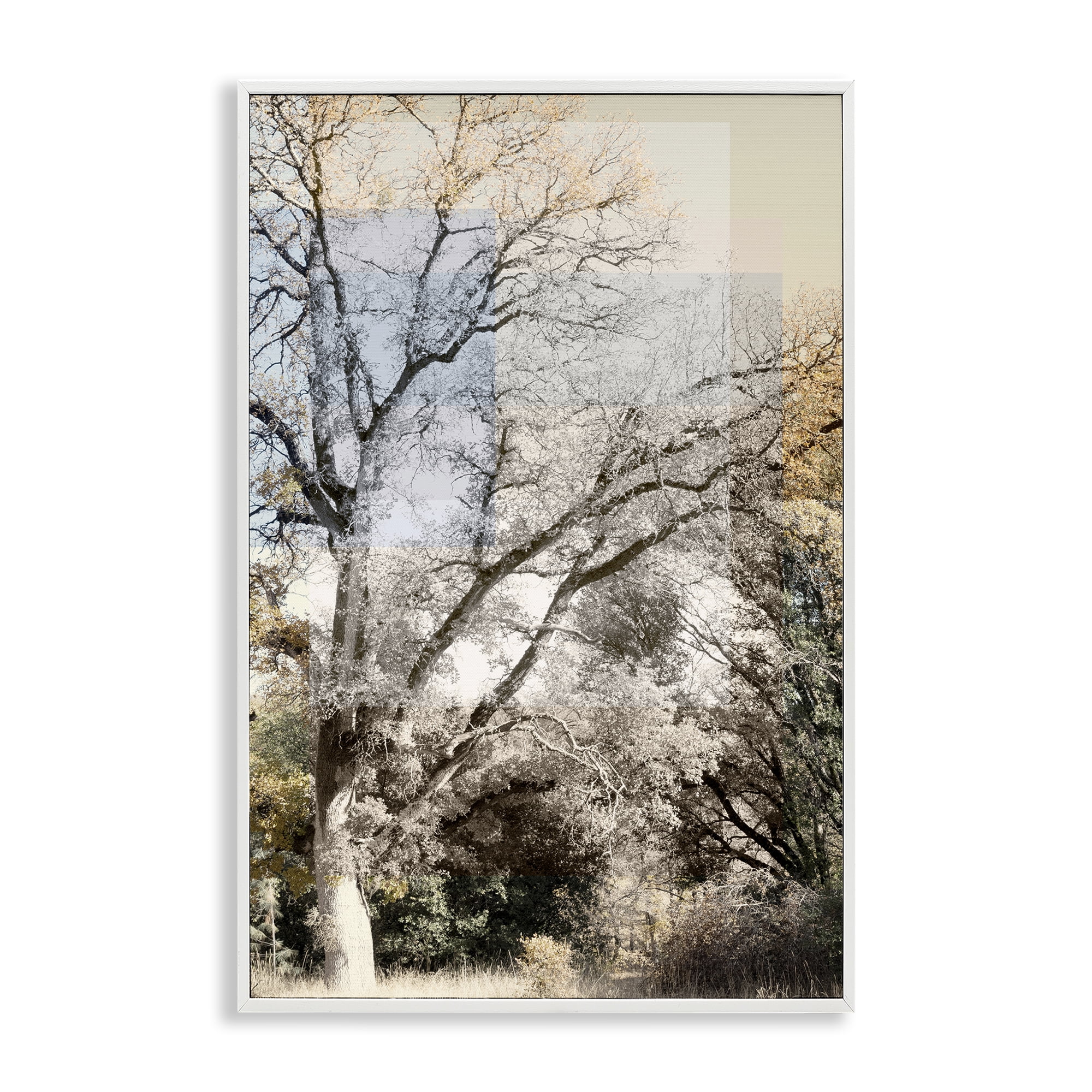 Stupell Industries Tree Collage Layers White Framed Giclee Art, design by Gemma Bardot