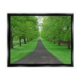 thumbnail image 1 of Stupell Industries Tree Grove Path Landscape Nature Photography Black Floater Framed Art Print Wall Art, 31 x 25, 1 of 9