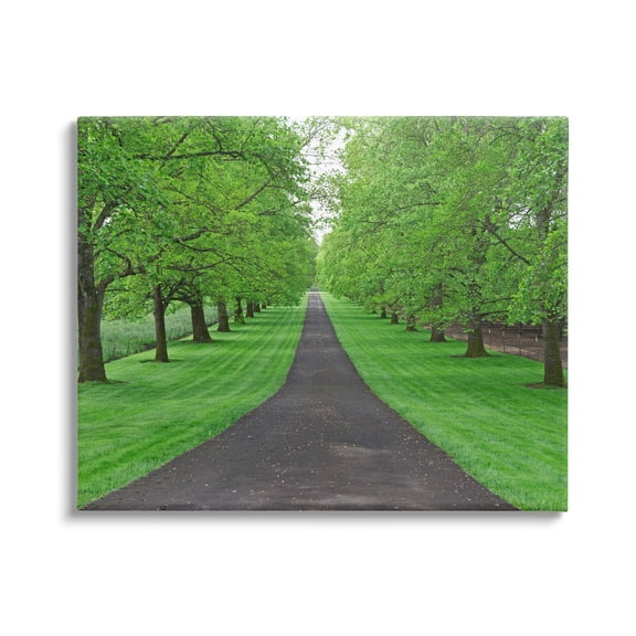 Stupell Industries Tree Grove Path Landscape Nature Photography Gallery Wrapped Canvas Print Wall Art, 30 x 24
