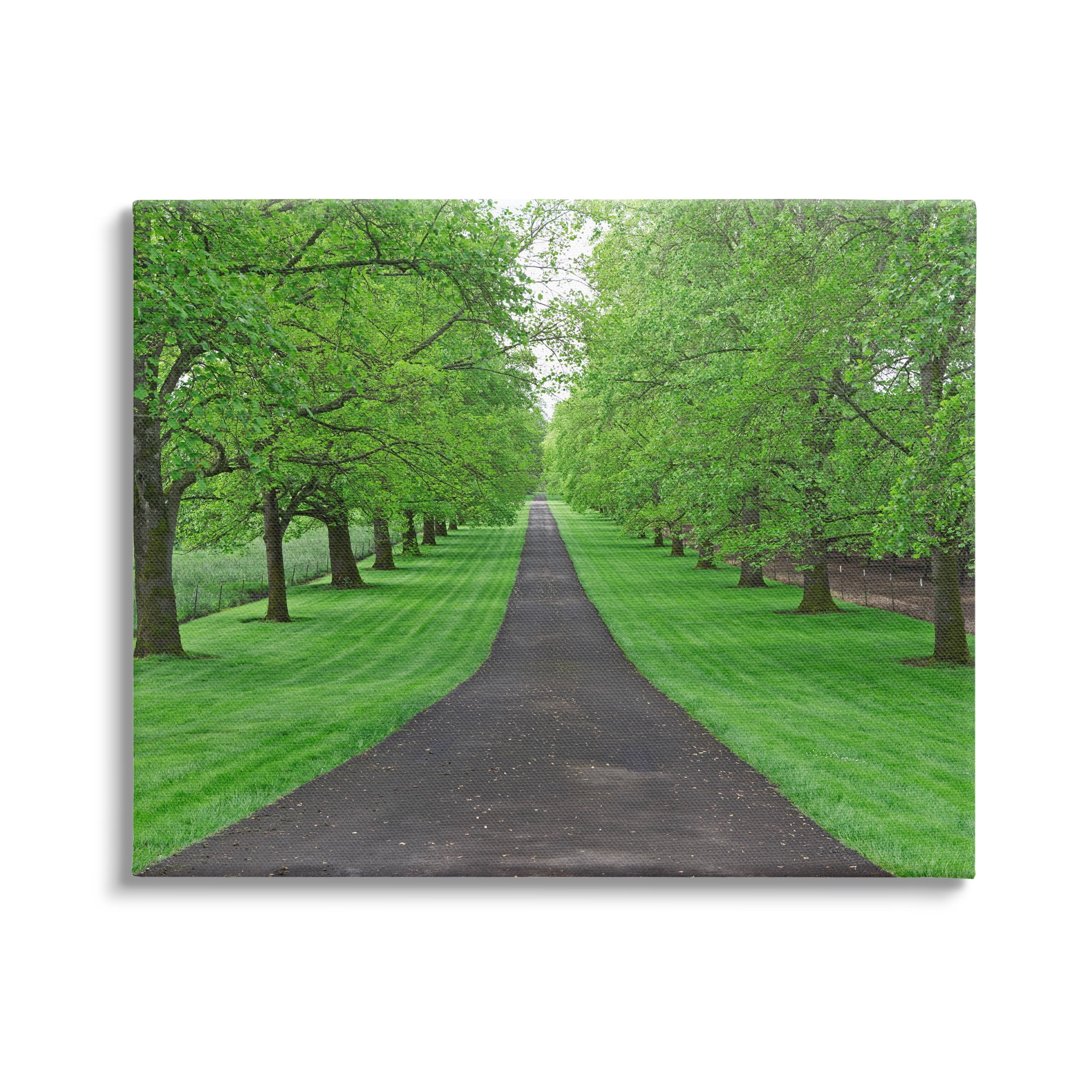 Stupell Industries Tree Grove Path Landscape Nature Photography Gallery Wrapped Canvas Print Wall Art, 48 x 36