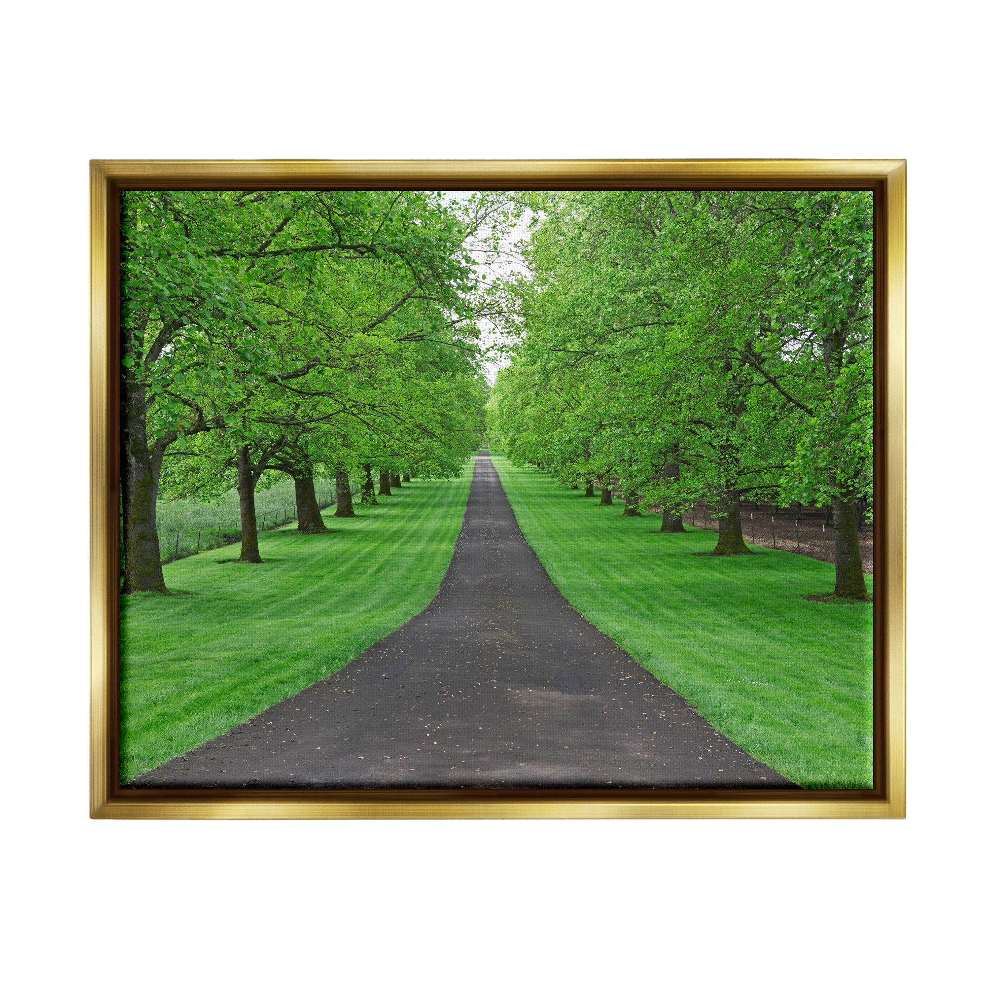 Stupell Industries Tree Grove Path Landscape Nature Photography Gold Floater Framed Art Print Wall Art, 21 x 17
