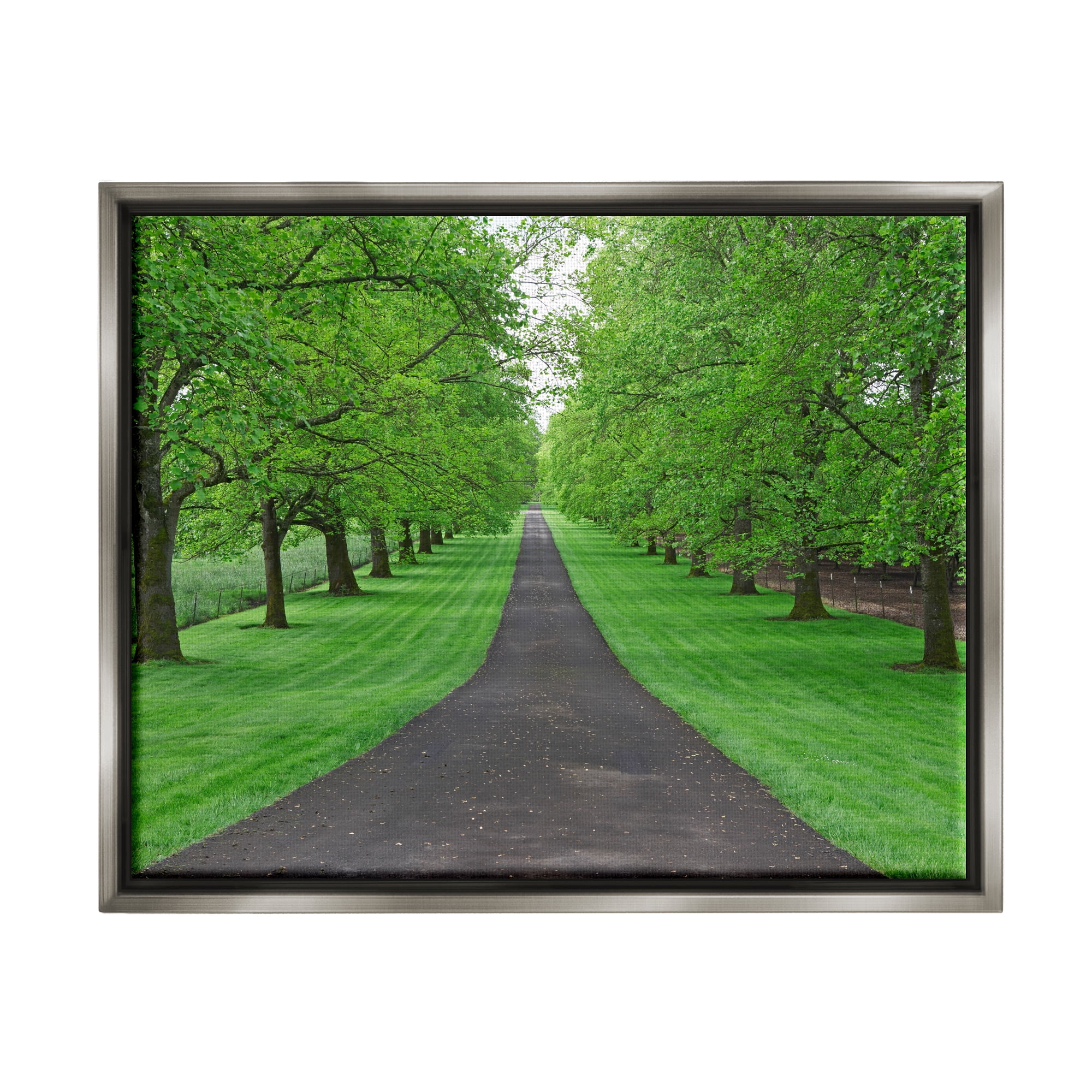 Stupell Industries Tree Grove Path Landscape Nature Photography Gray Floater Framed Art Print Wall Art, 21 x 17