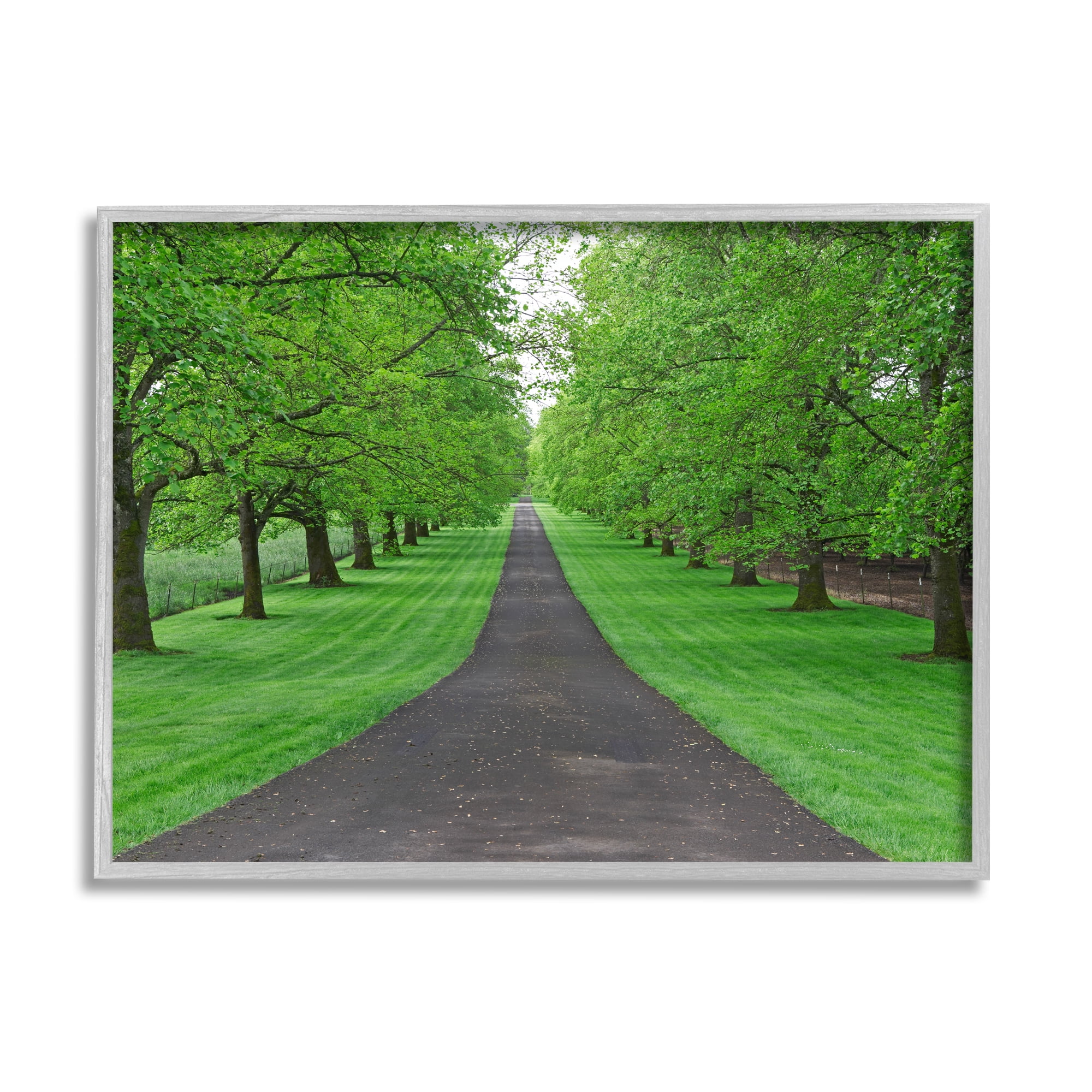 Stupell Industries Tree Grove Path Landscape Nature Photography Gray Framed Art Print Wall Art, 20 x 16