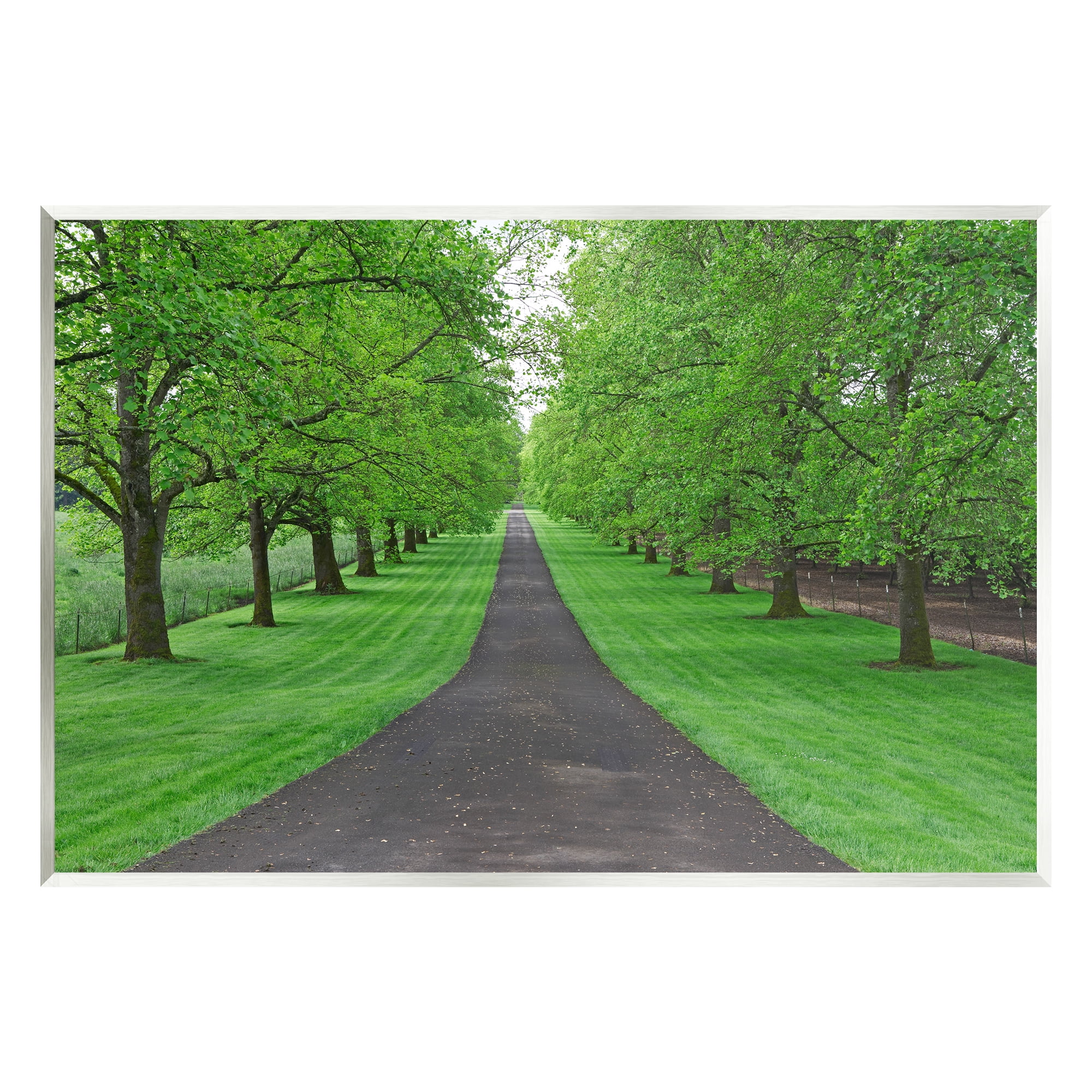 Stupell Industries Tree Grove Path Landscape Nature Photography Unframed Art Print Wall Art, 19 x 13