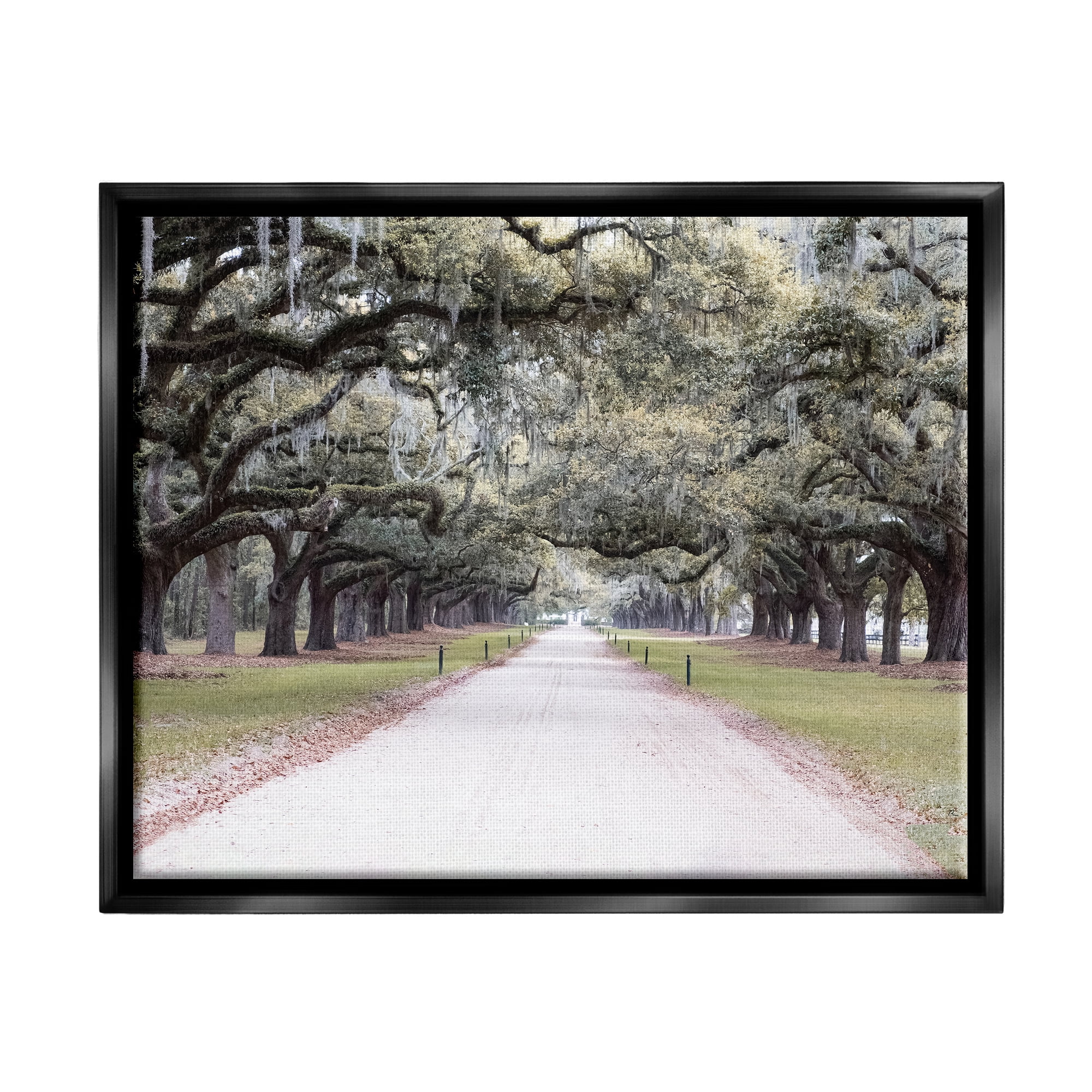 Stupell Industries Tree Grove Path Photography Landscape Photography Black Floater Framed Canvas Art Print Wall Art, 21 x 17