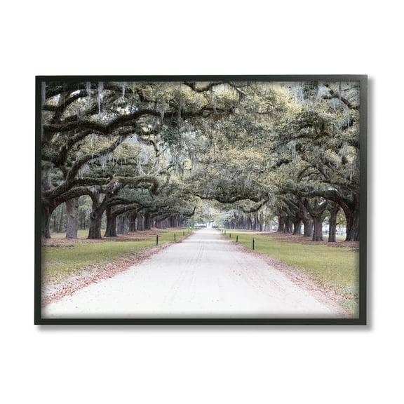 Stupell Industries Tree Grove Path Photography Landscape Photography Black Framed Art Print Wall Art, 14 x 11