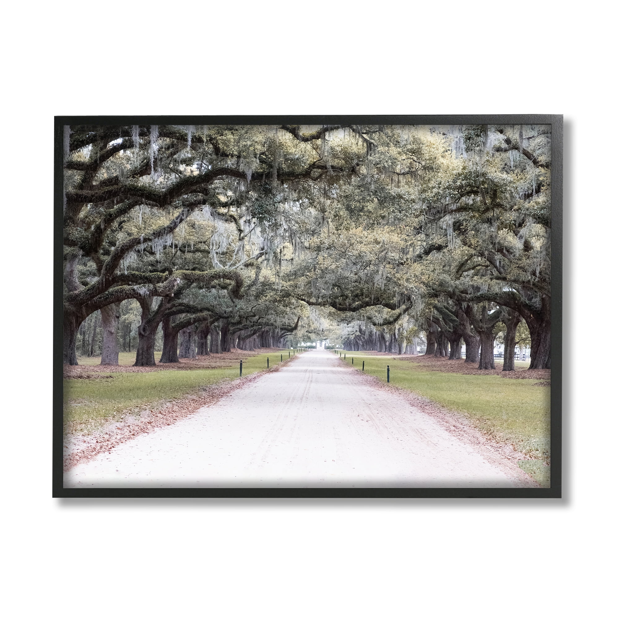 Stupell Industries Tree Grove Path Photography Landscape Photography Black Framed Art Print Wall Art, 20 x 16