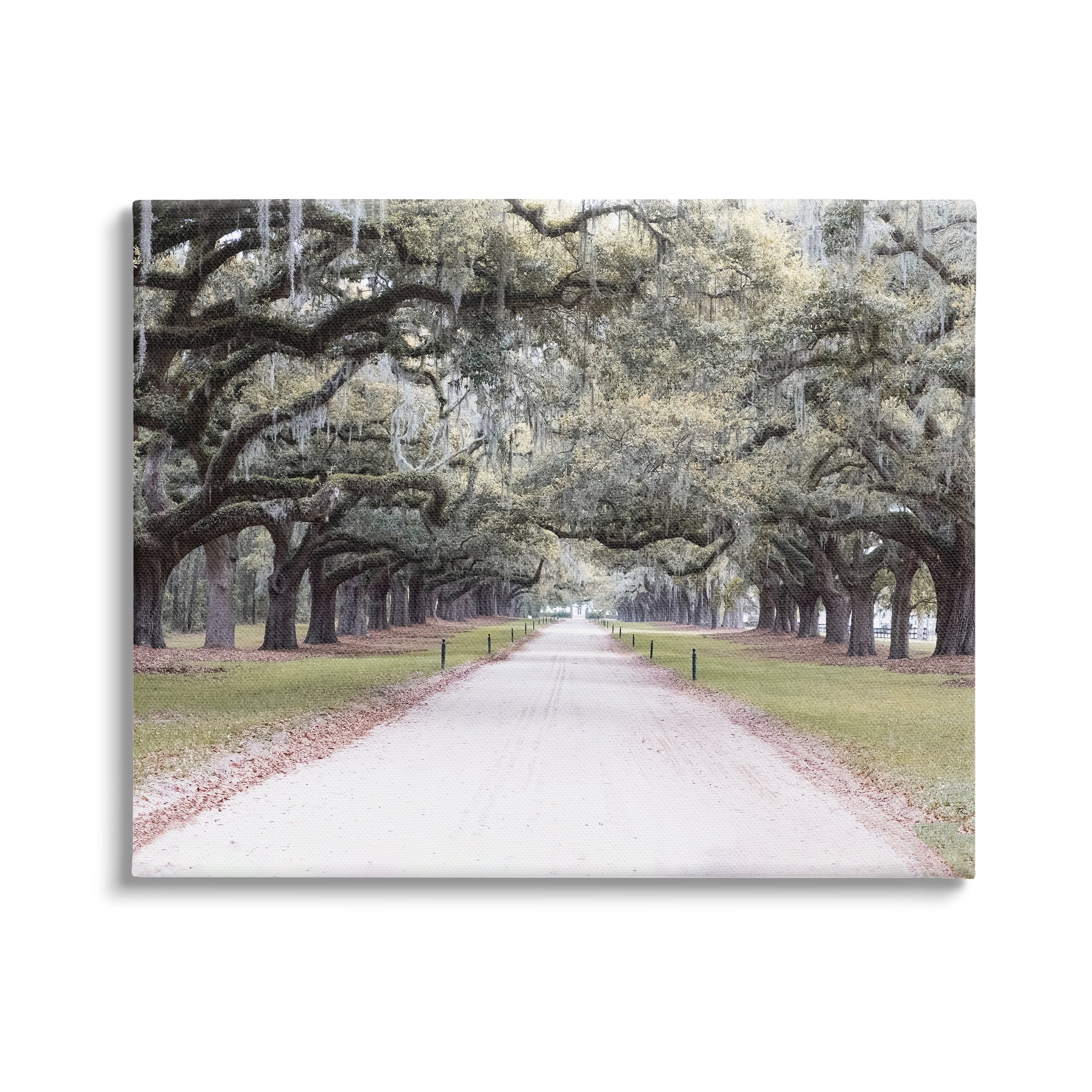 Stupell Industries Tree Grove Path Photography Landscape Photography Gallery Wrapped Canvas Art Print Wall Art, 40 x 30