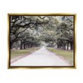 thumbnail image 1 of Stupell Industries Tree Grove Path Photography Landscape Photography Gold Floater Framed Canvas Art Print Wall Art, 31 x 25, 1 of 10