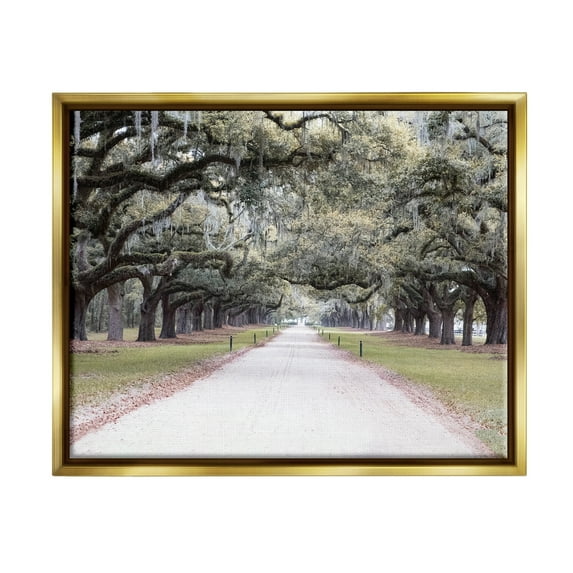 Stupell Industries Tree Grove Path Photography Landscape Photography Gold Floater Framed Canvas Art Print Wall Art, 31 x 25