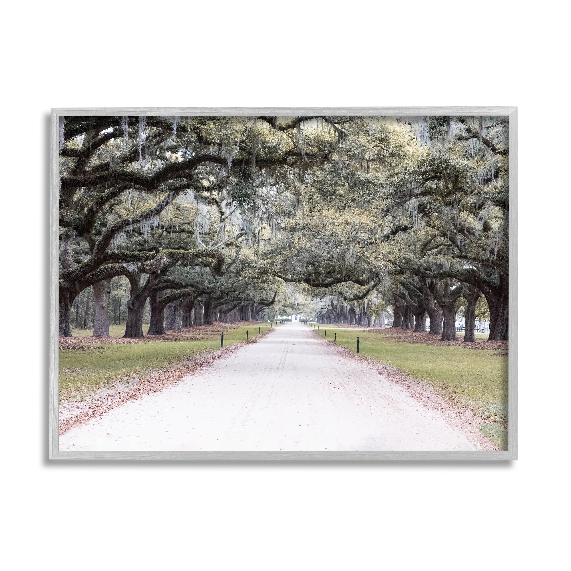 Stupell Industries Tree Grove Path Photography Landscape Photography Gray Framed Art Print Wall Art, 30 x 24