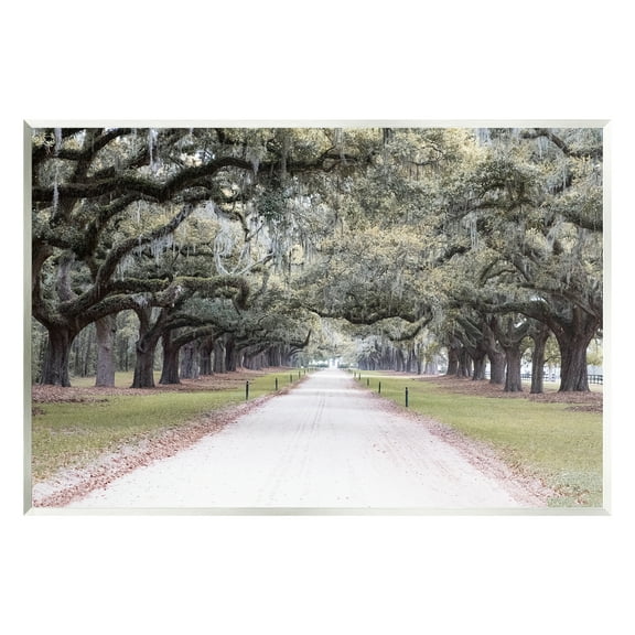 Stupell Industries Tree Grove Path Photography Landscape Photography Unframed Art Print Wall Art, 15 x 10