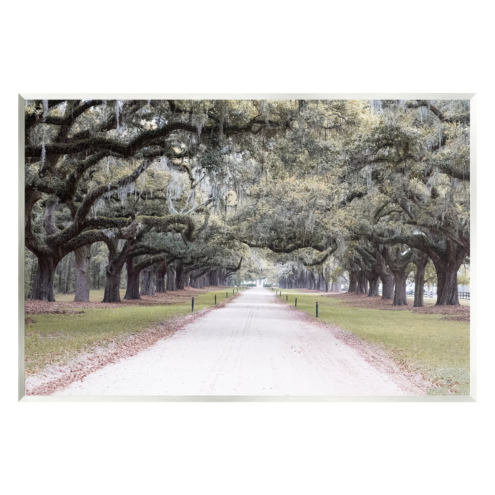 Stupell Industries Tree Grove Path Photography Landscape Photography Unframed Art Print Wall Art, 19 x 13