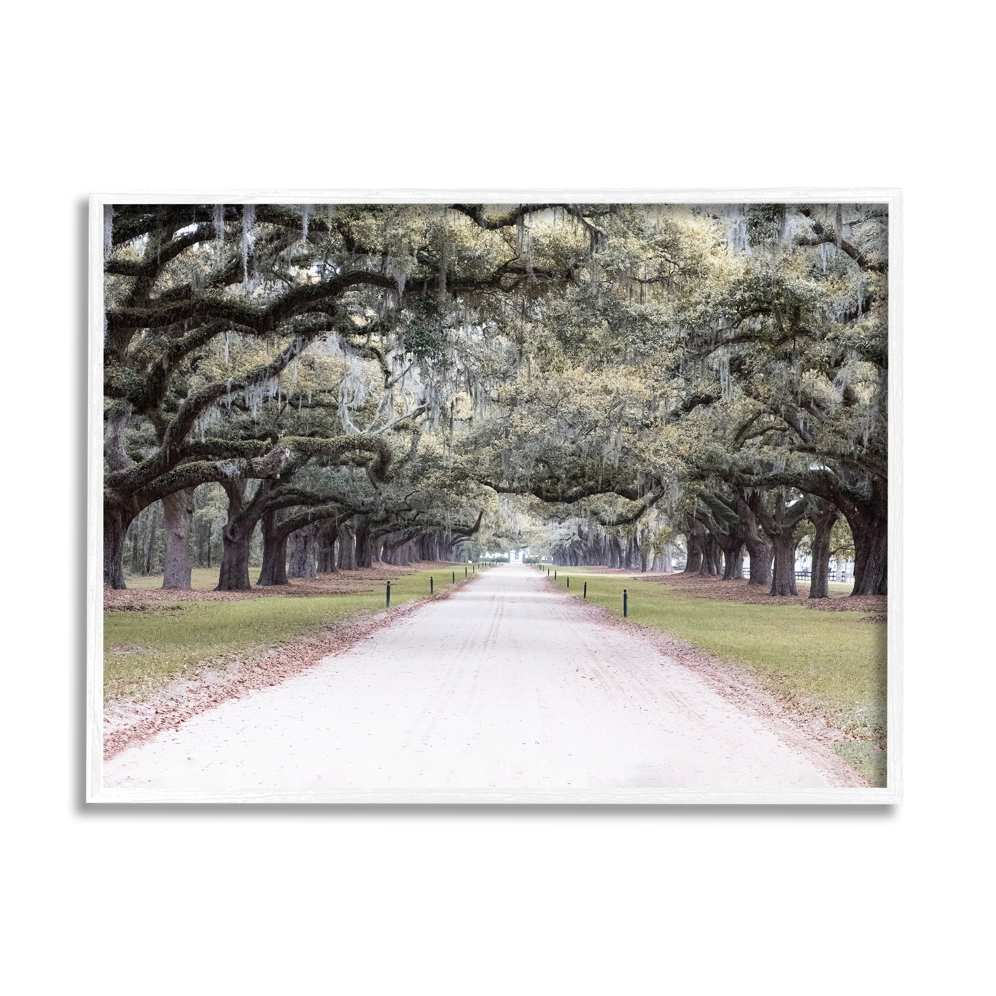 Stupell Industries Tree Grove Path Photography Landscape Photography White Framed Art Print Wall Art, 14 x 11