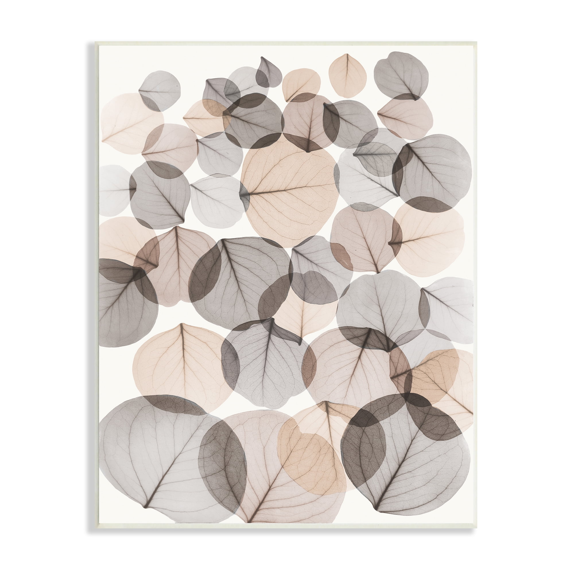 Stupell Industries Tree Leaf Pattern Brown Foliage Plant Veins, 13 x 19, Design by Albert Koetsier