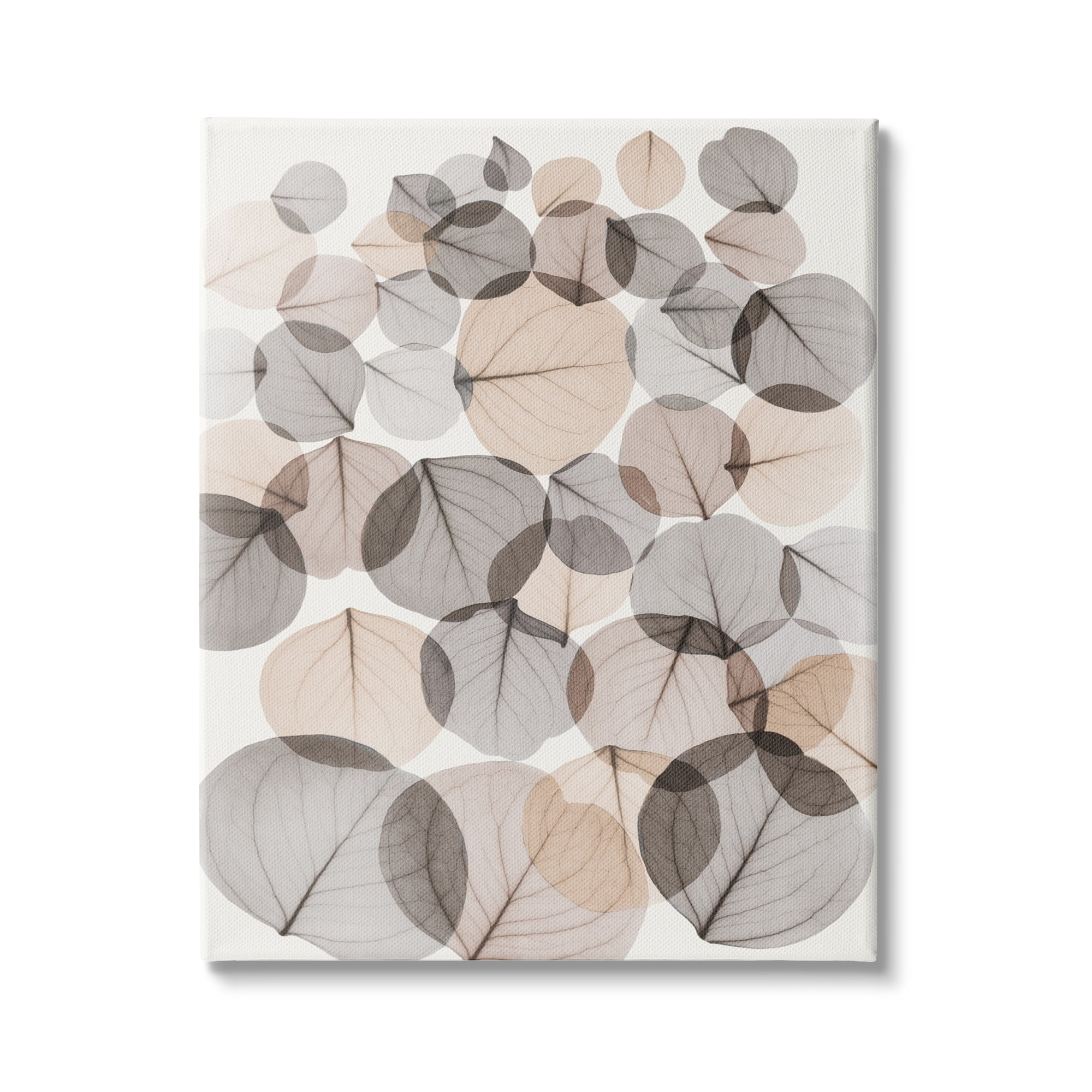 Stupell Industries Tree Leaf Pattern Brown Foliage Plant Veins, 30 x 40, Design by Albert Koetsier