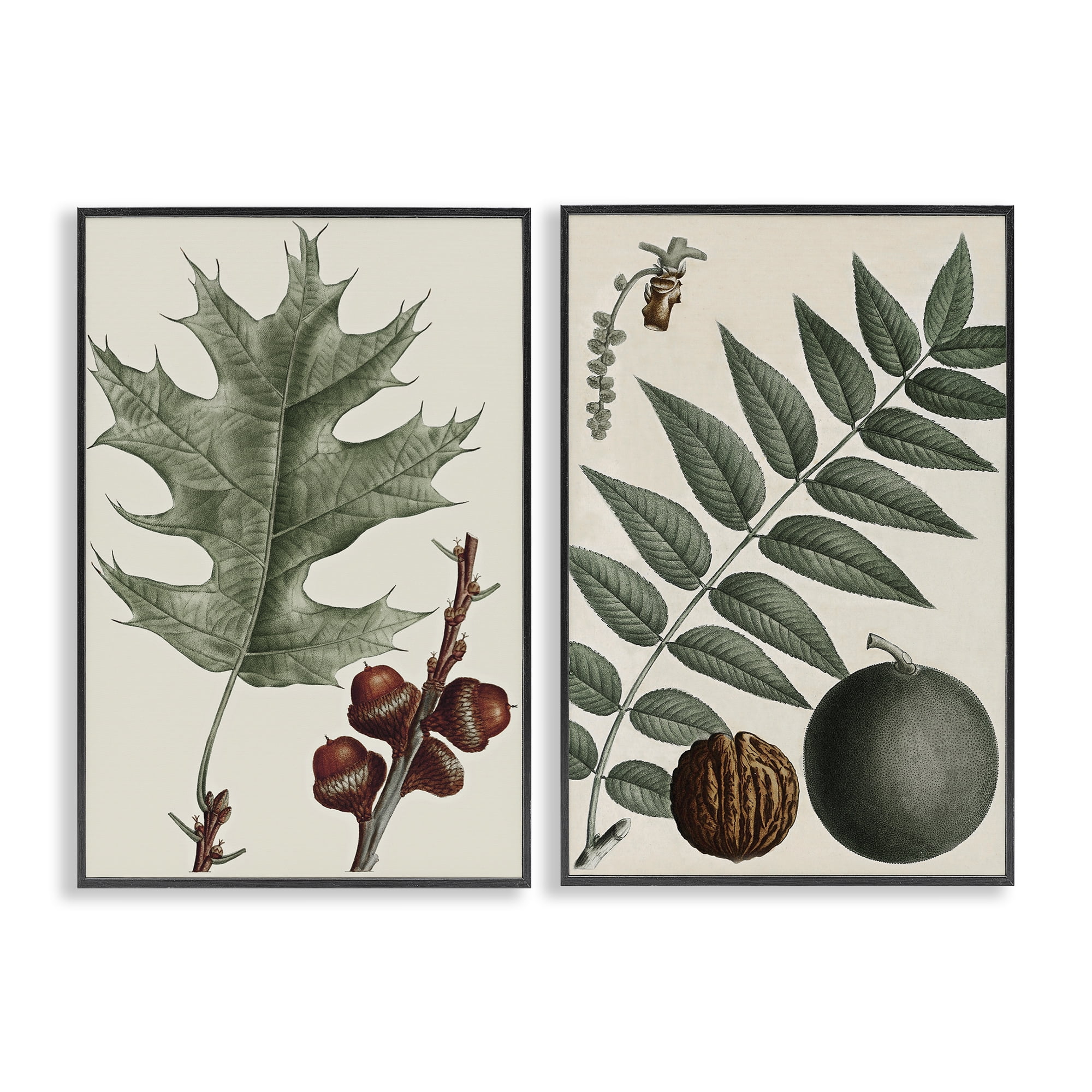 Stupell Industries Tree Leaves & Nuts Plants & Flowers Painting Black Framed Art Print Wall Art, 16 x 24, Set of 2