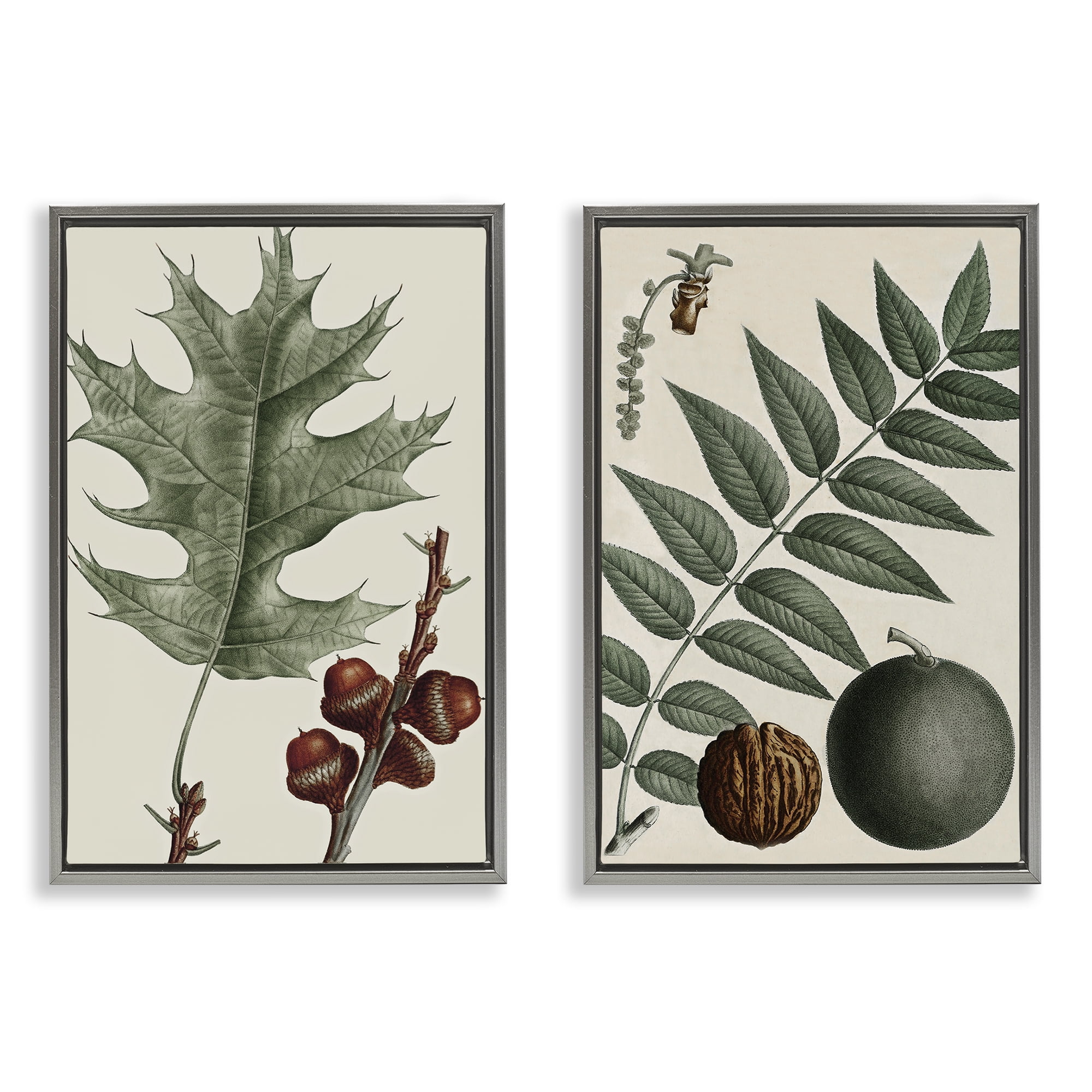 Stupell Industries Tree Leaves & Nuts Plants & Flowers Painting Gray Floater Framed Canvas Art Print Wall Art, 17 x 25, Set of 2