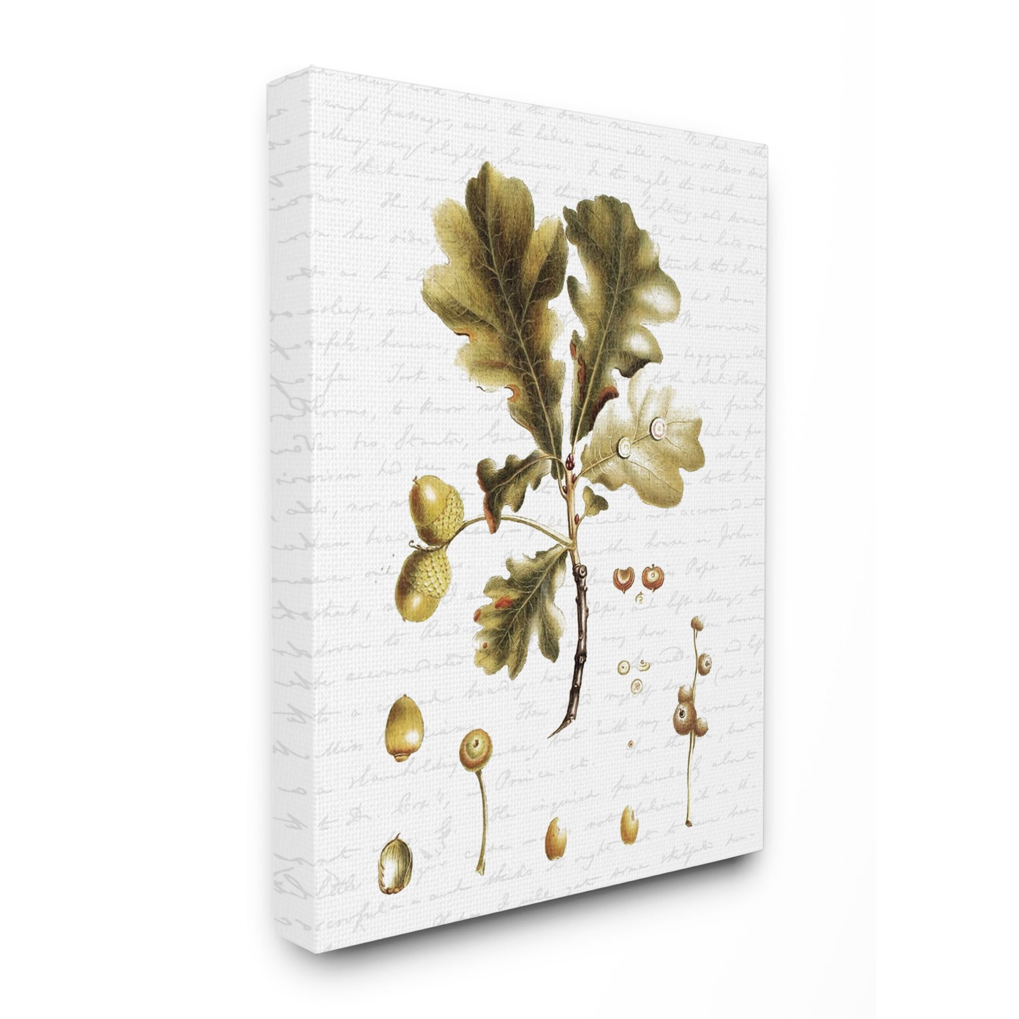 Stupell Industries Tree Leaves Seeds Fall Autumn Seasonal Design Canvas Wall Art by Lettered and Lined