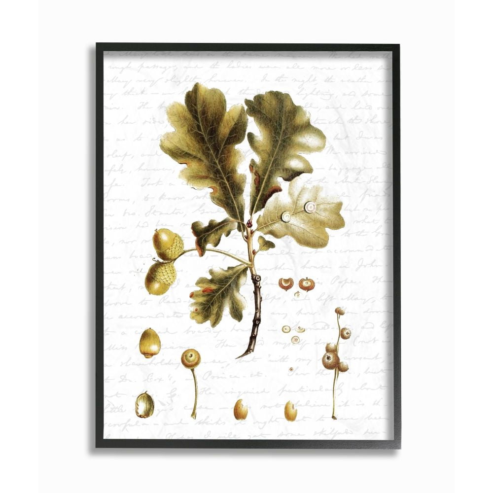 Stupell Industries Tree Leaves Seeds Fall Autumn Seasonal Design Framed Wall Art by Lettered and Lined