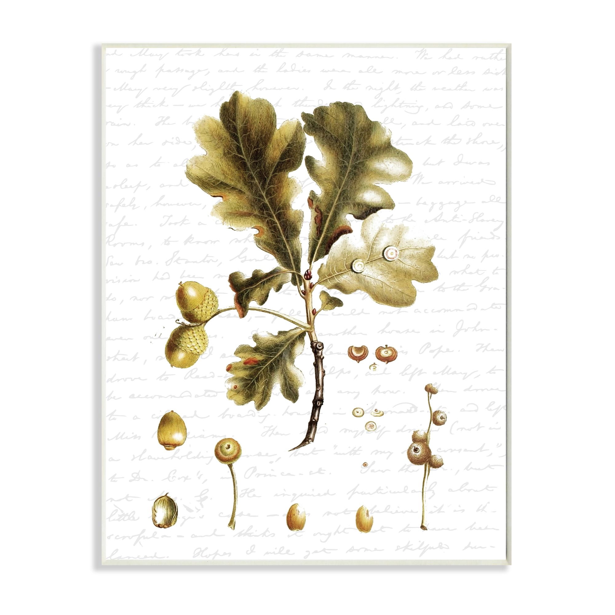 Stupell Industries Tree Leaves Seeds Fall Autumn Seasonal Design Wall Plaque by Lettered and Lined