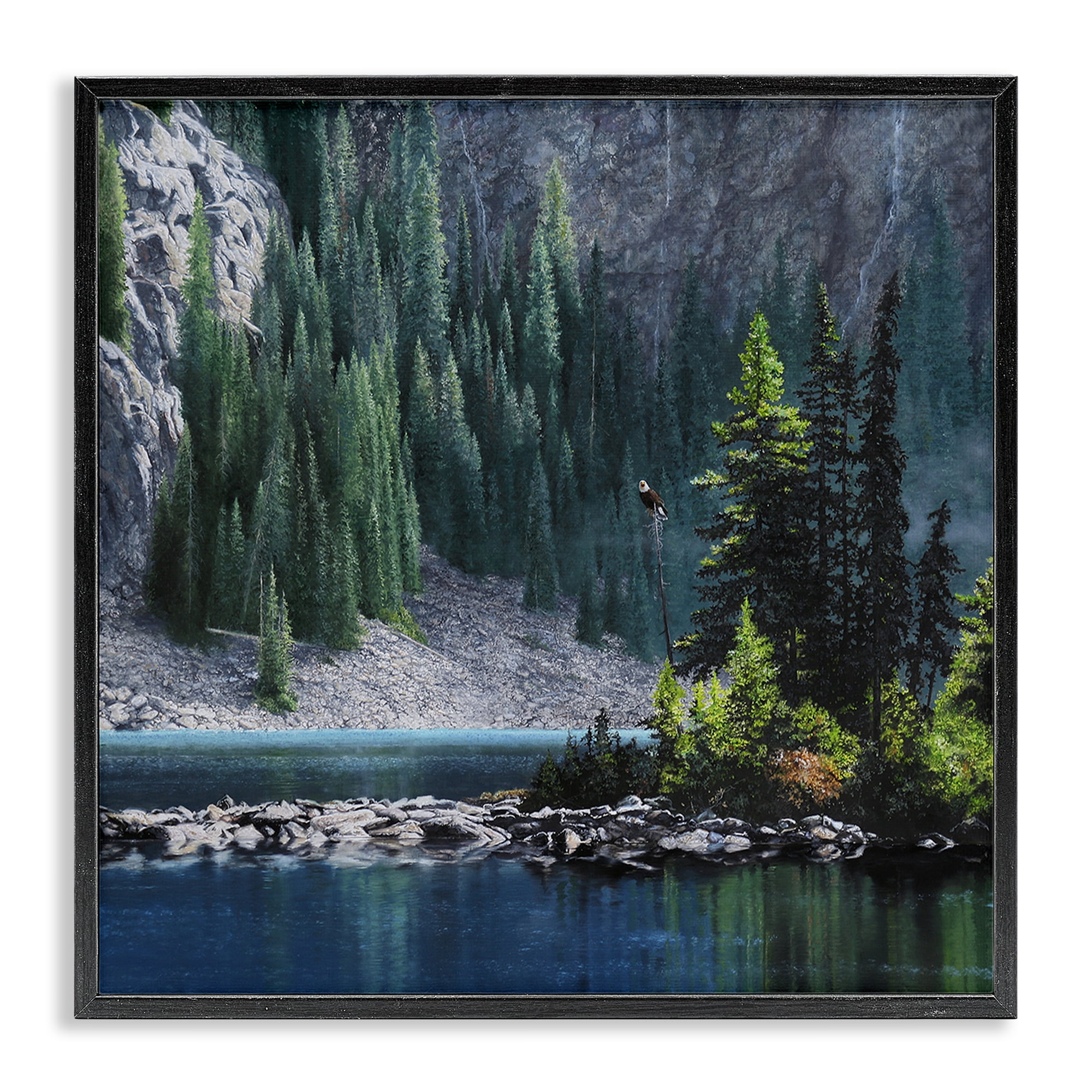 Stupell Industries Tree Spires in Nature Landscape & Nature Photography Black Framed Art Print Wall Art, 12 x 12