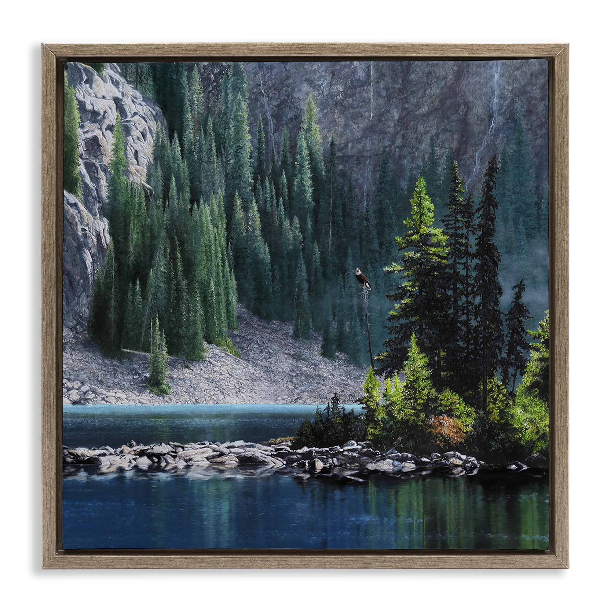 Stupell Industries Tree Spires in Nature Landscape & Nature Photography Brown Floater Framed Canvas Art Print Wall Art, 25 x 25