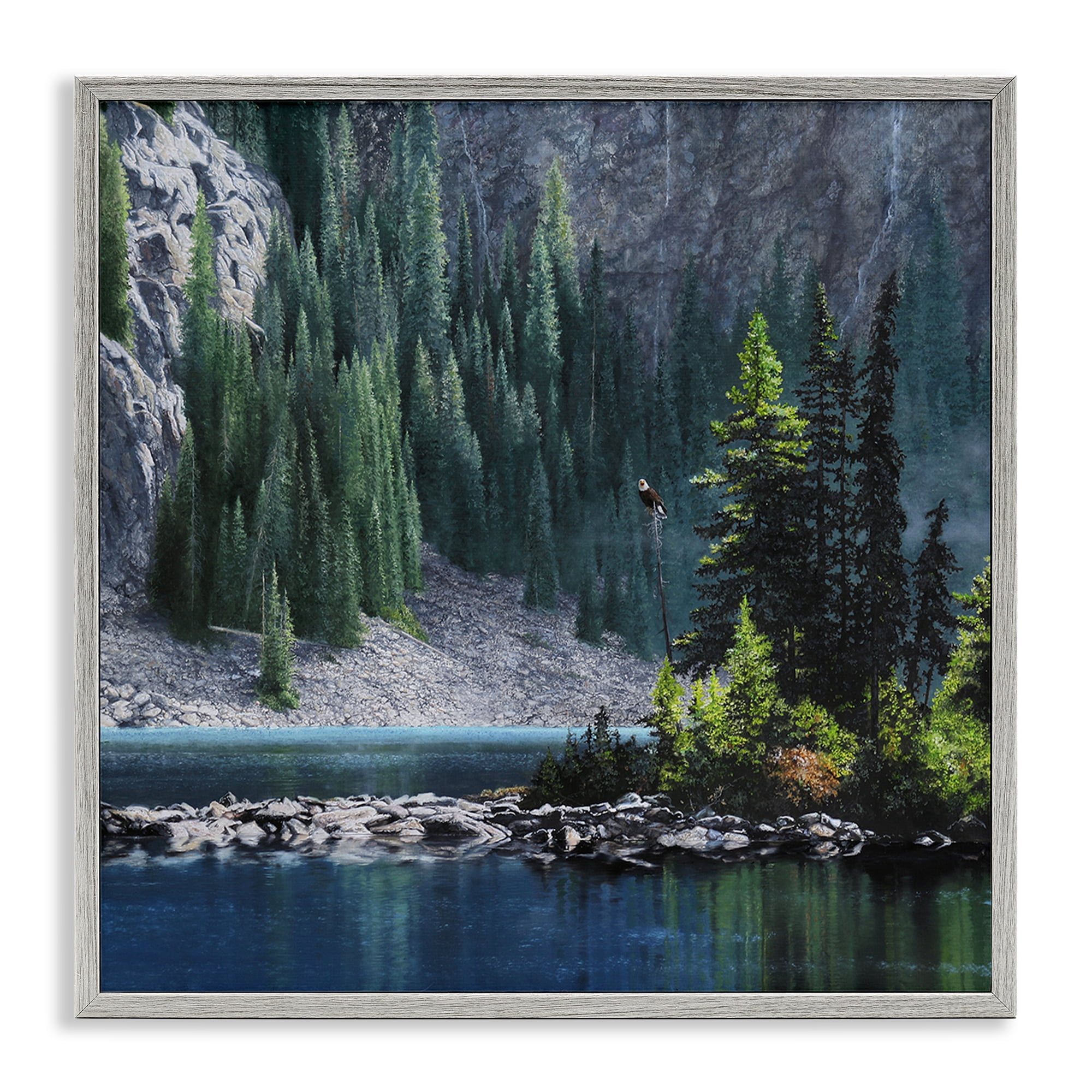Stupell Industries Tree Spires in Nature Landscape & Nature Photography Gray Framed Art Print Wall Art, 17 x 17