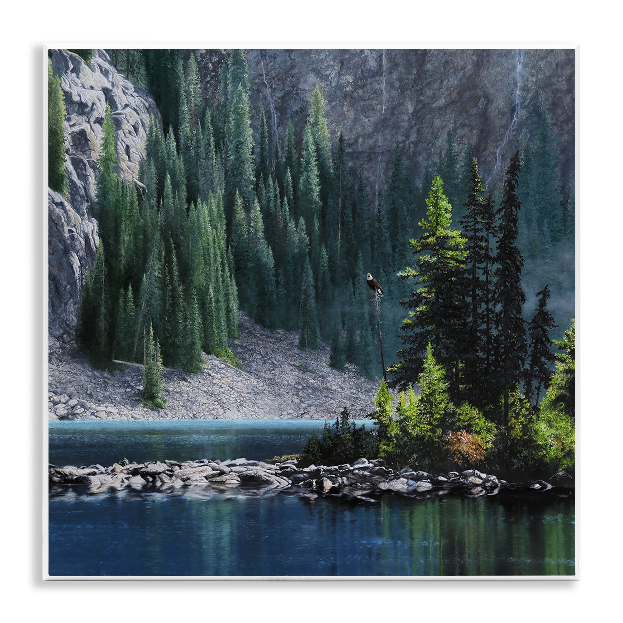 Stupell Industries Tree Spires in Nature Landscape & Nature Photography Unframed Art Print Wall Art, 12 x 12