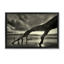 Stupell Industries Tree Trunk on Shore Landscape Photography Black Floater Framed Canvas Art Print Wall Art, 25 x 17