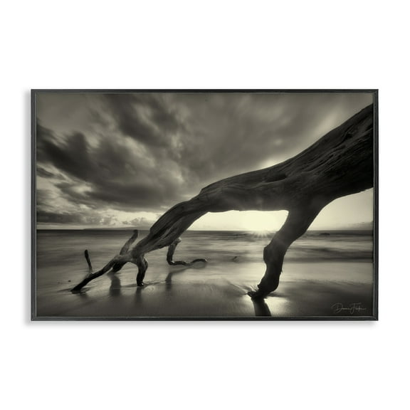 Stupell Industries Tree Trunk on Shore Landscape Photography Black Framed Art Print Wall Art, 18 x 12