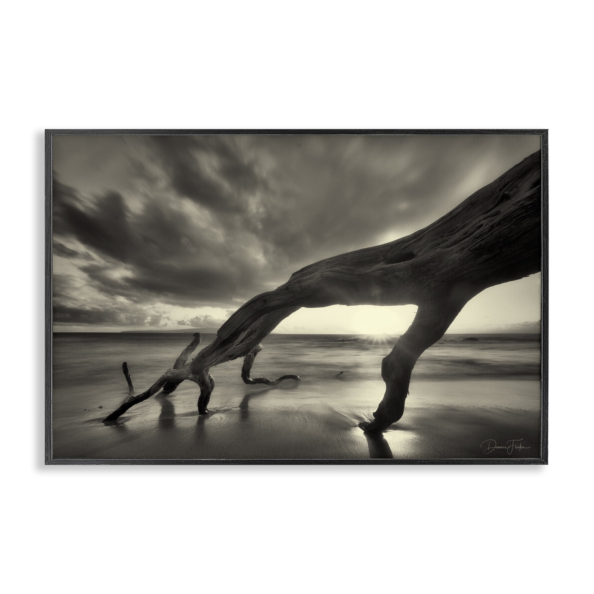 Stupell Industries Tree Trunk on Shore Landscape Photography Black Framed Art Print Wall Art, 30 x 20