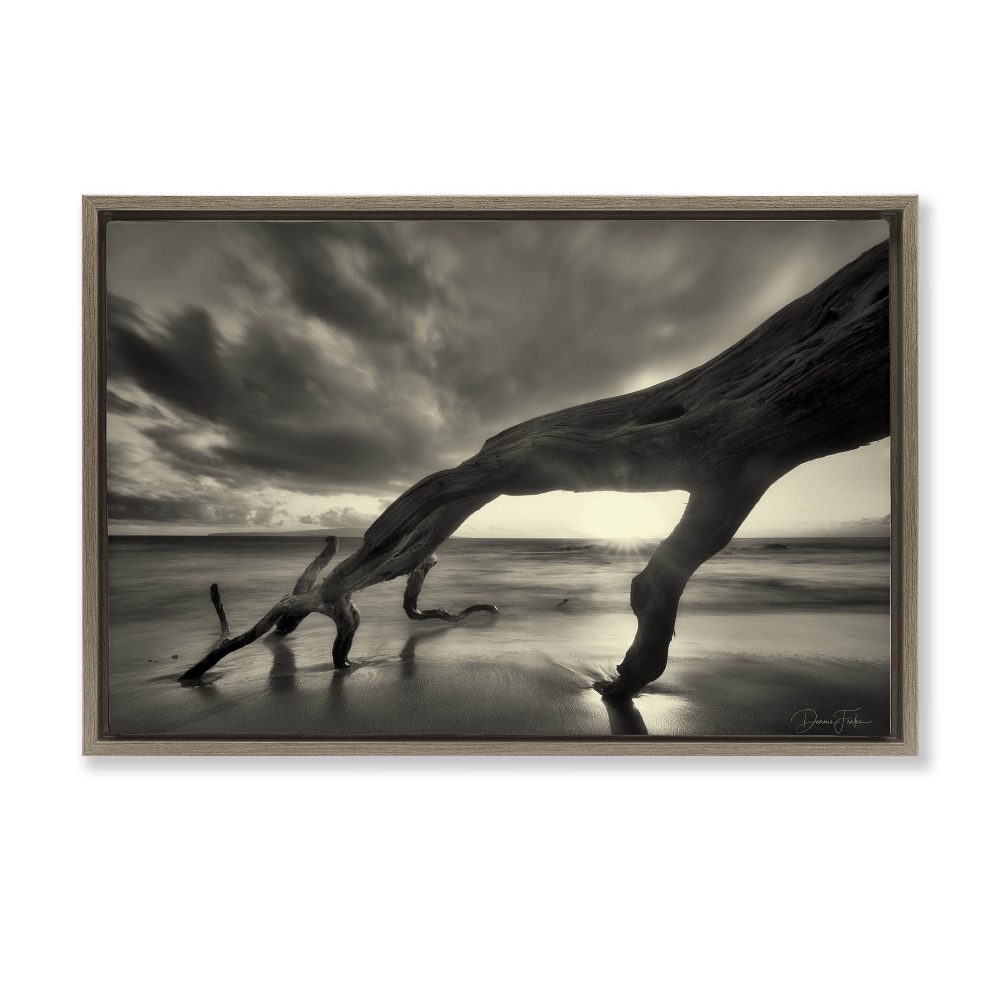 Stupell Industries Tree Trunk on Shore Landscape Photography Brown Floater Framed Canvas Art Print Wall Art, 31 x 21