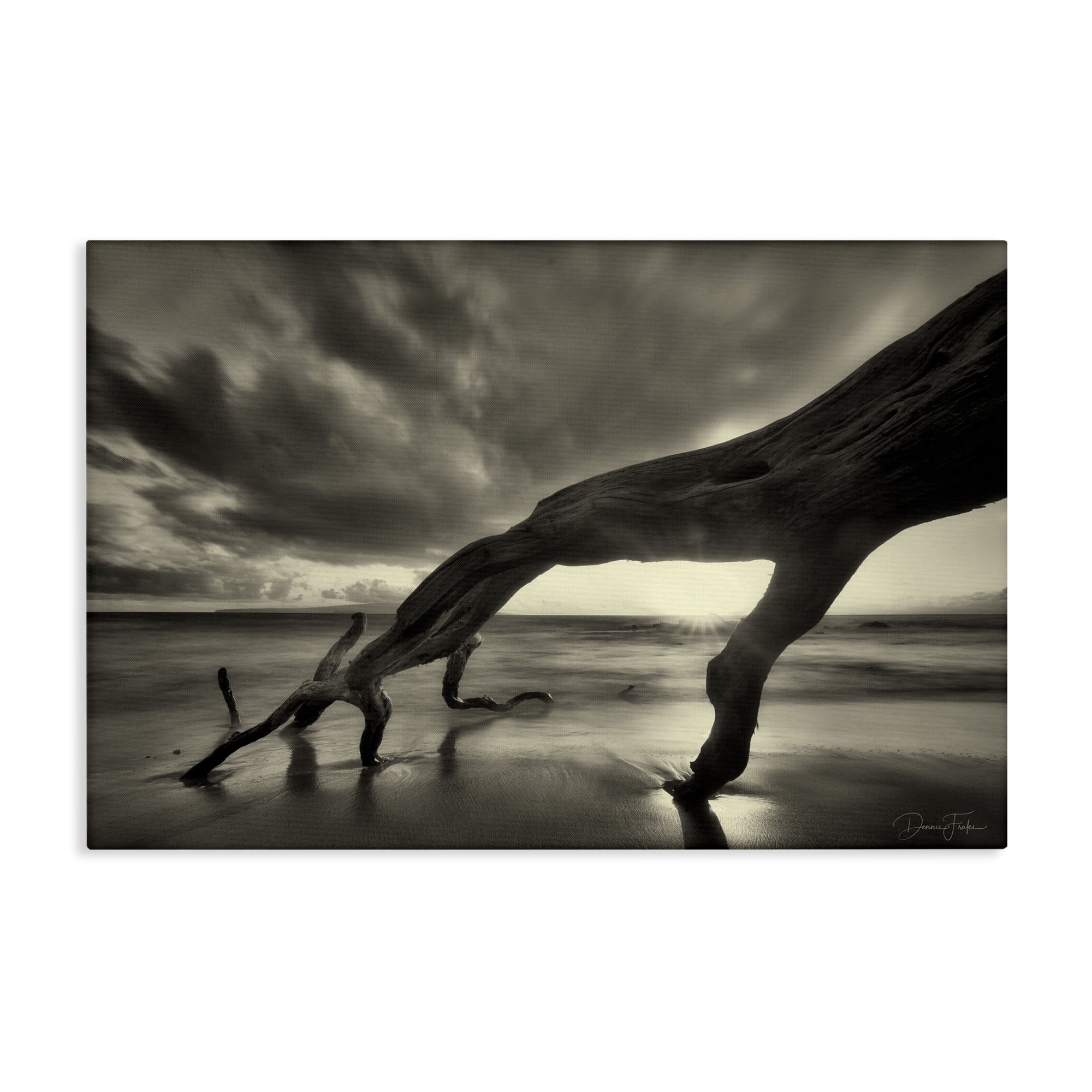 Stupell Industries Tree Trunk on Shore Landscape Photography Gallery Wrapped Canvas Art Print Wall Art, 24 x 16