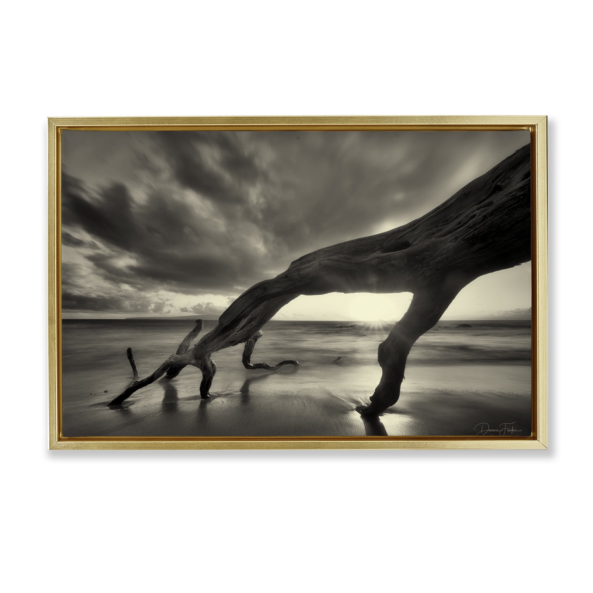 Stupell Industries Tree Trunk on Shore Landscape Photography Gold Floater Framed Canvas Art Print Wall Art, 31 x 21