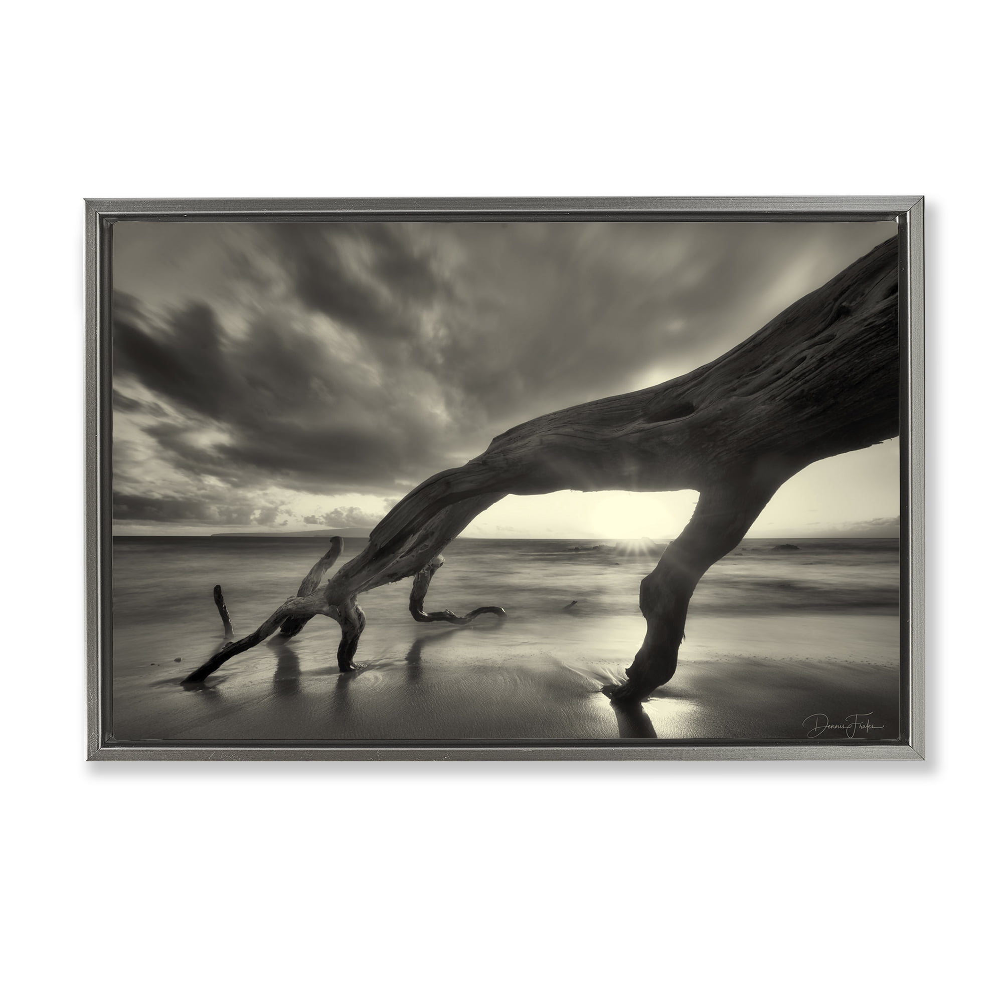 Stupell Industries Tree Trunk on Shore Landscape Photography Gray Floater Framed Canvas Art Print Wall Art, 25 x 17