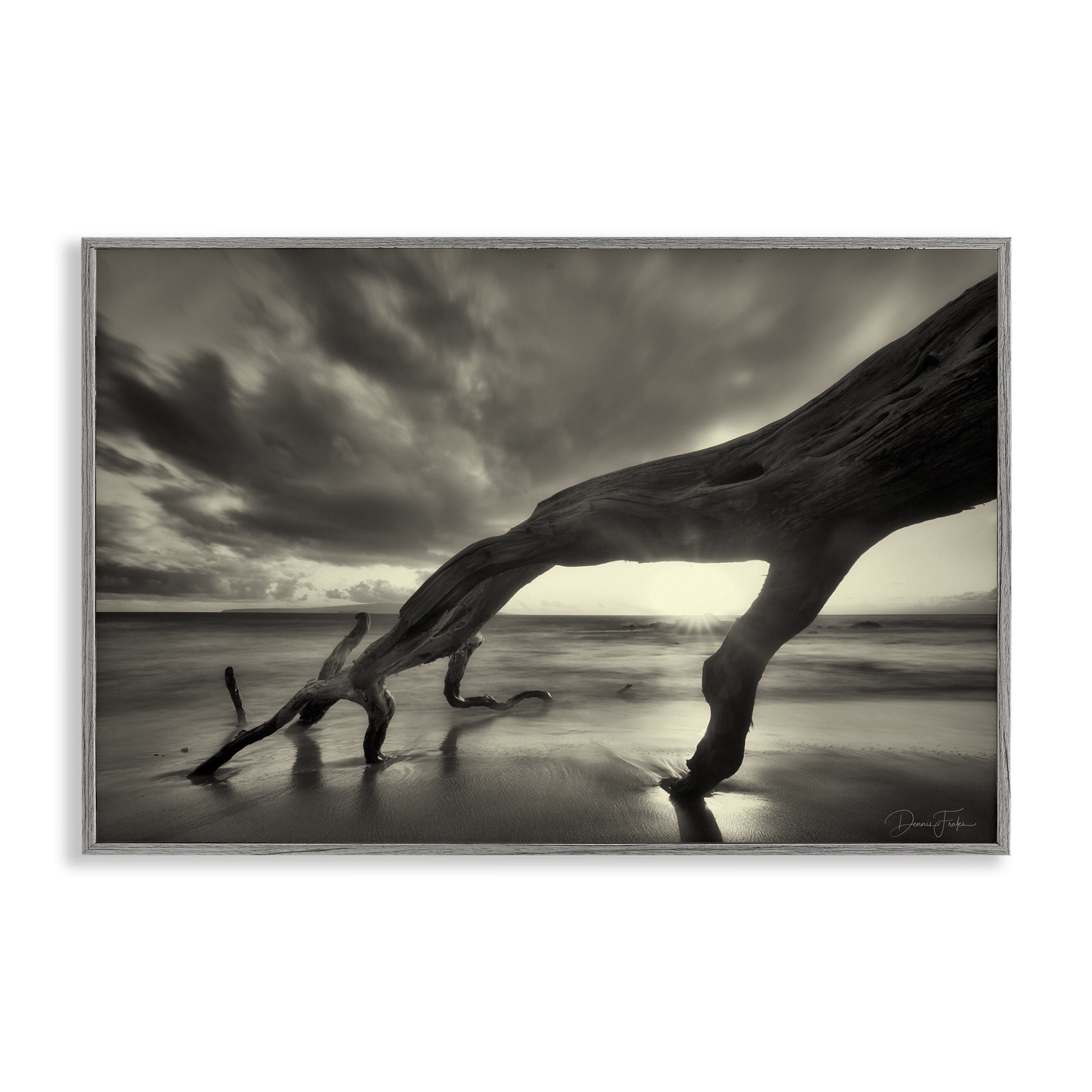Stupell Industries Tree Trunk on Shore Landscape Photography Gray Framed Art Print Wall Art, 18 x 12