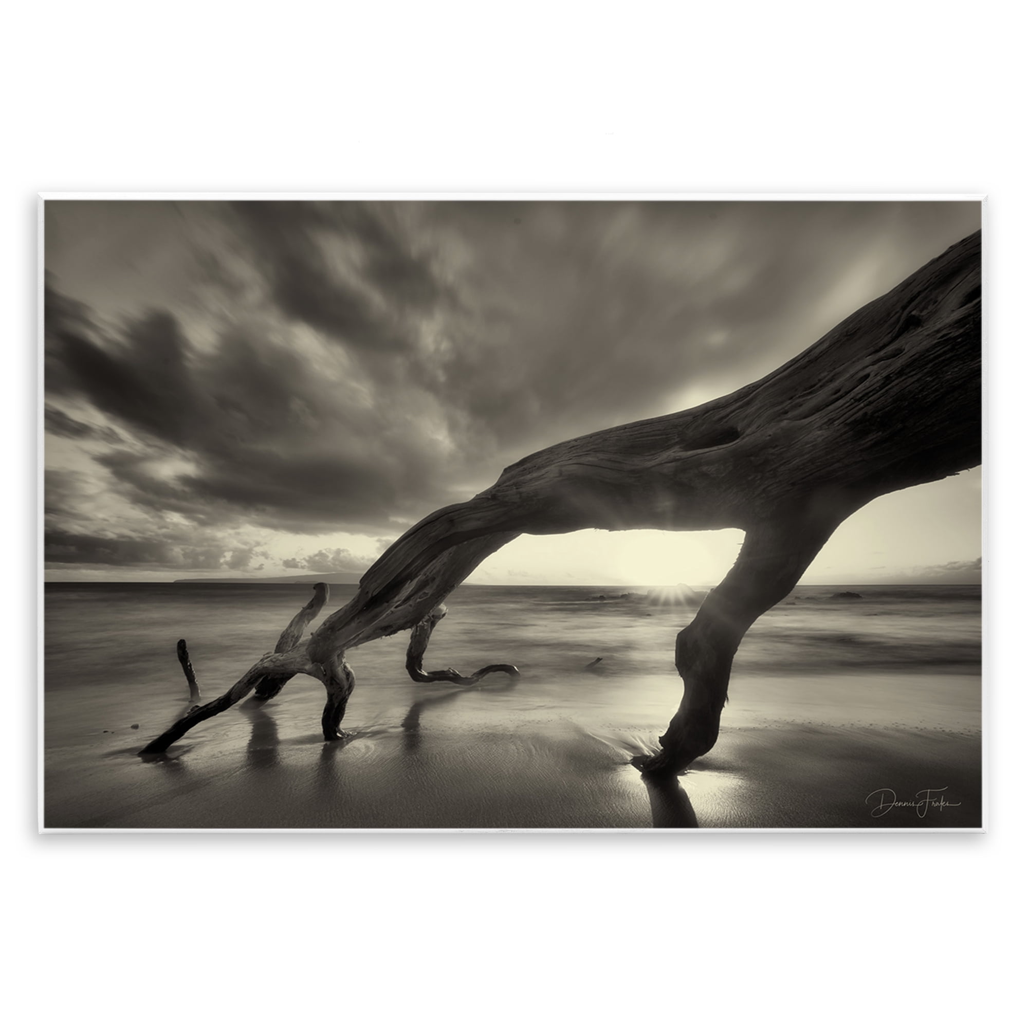 Stupell Industries Tree Trunk on Shore Landscape Photography Unframed Art Print Wall Art, 15 x 10