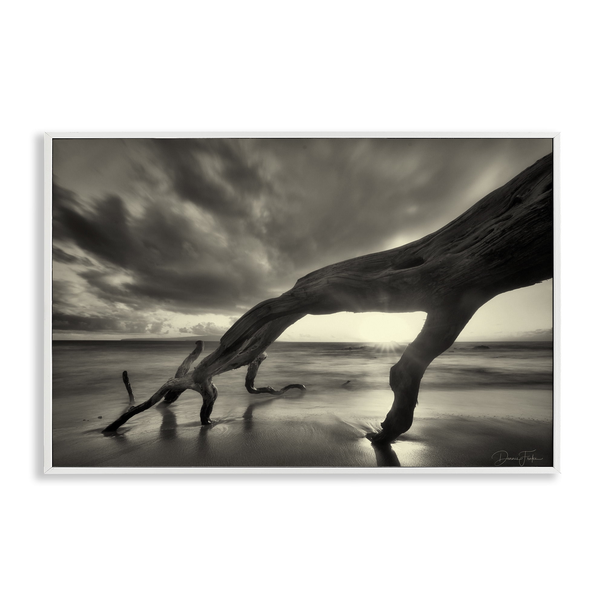 Stupell Industries Tree Trunk on Shore Landscape Photography White Framed Art Print Wall Art, 30 x 20