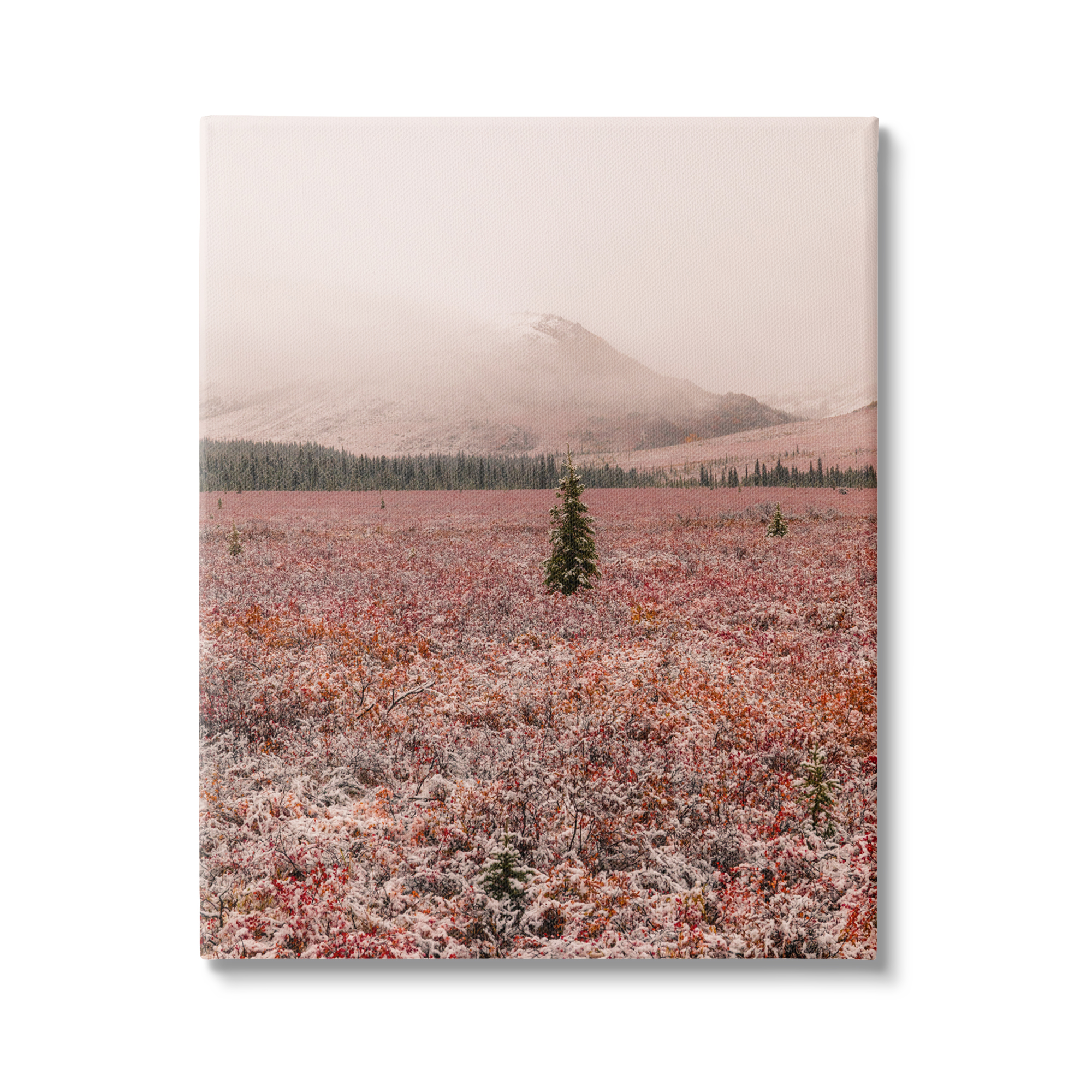 Stupell Industries Tree in Foggy Landscape Landscape Photography Gallery Wrapped Canvas Art Print Wall Art, 36 x 48