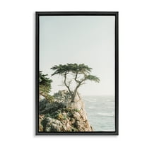Stupell Industries Tree on Beachside Cliff Nautical & Beach Photography Black Floater Framed Canvas Art Print Wall Art, 17 x 25