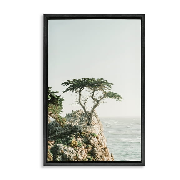 Stupell Industries Tree on Beachside Cliff Nautical & Beach Photography Black Floater Framed Canvas Art Print Wall Art, 17 x 25